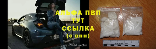 дживик Липки