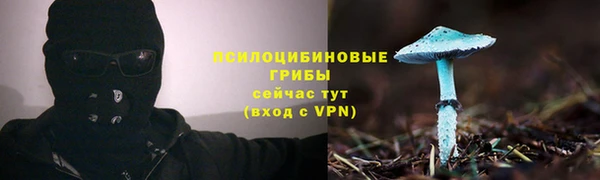 a pvp Волгодонск