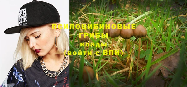дживик Липки