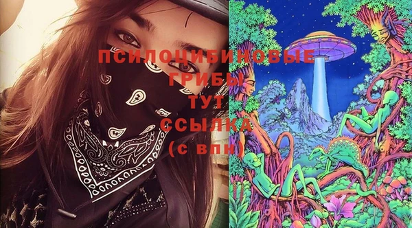 дживик Липки