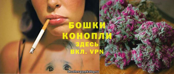 дживик Липки