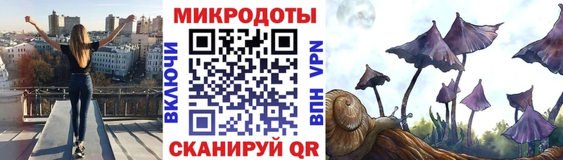 закладка  hydra рабочий сайт  Галлюциногенные грибы Cubensis  Елизаветинская 