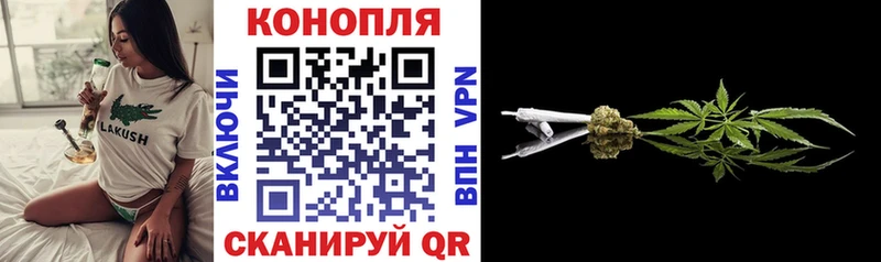цены наркотик  Елизаветинская  блэк спрут вход  Конопля ГИДРОПОН 
